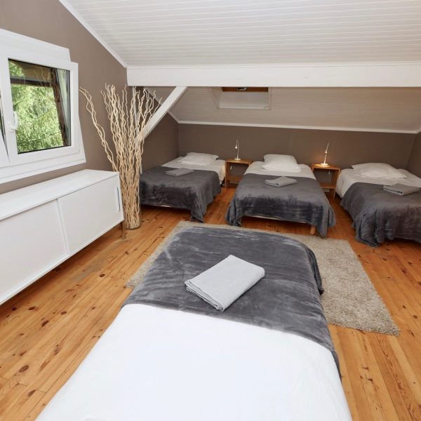 Location-vacances-bourgdoisans-alpedhuez-houseInAlpes-42